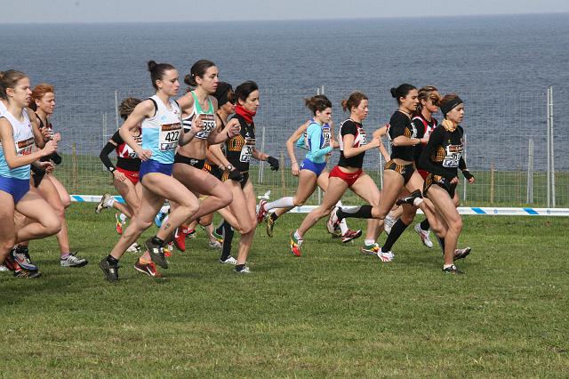 2010 Campionato de España de Cross 438